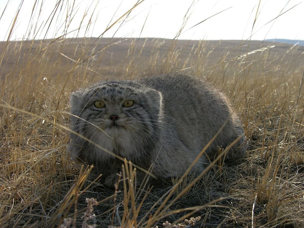 photo_2025-09-23 09.34.16