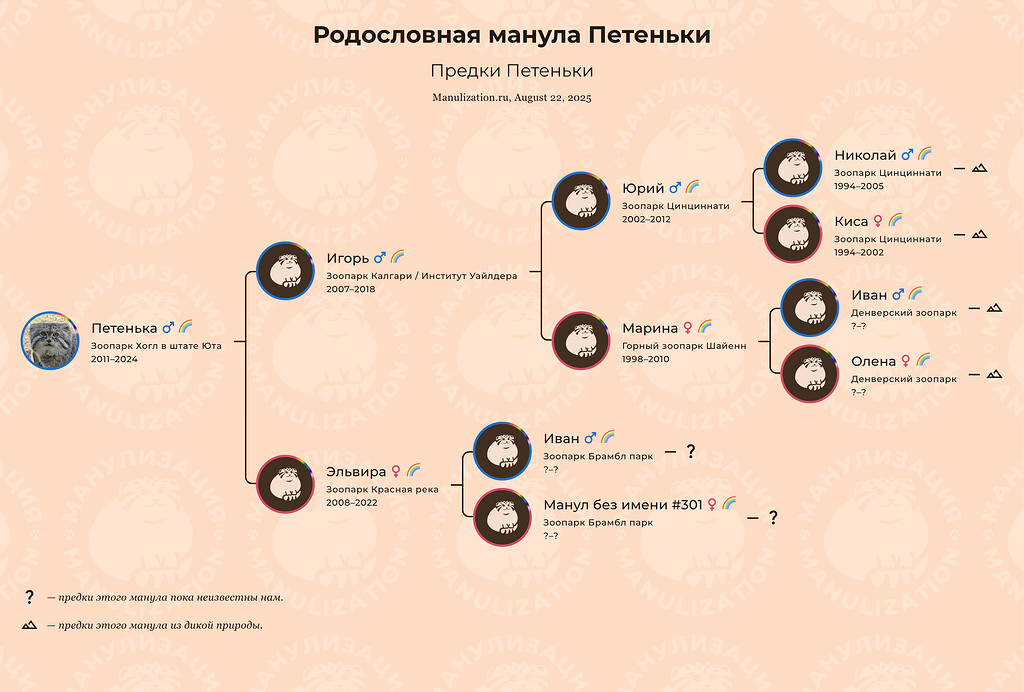 petenka-ascendants (1)