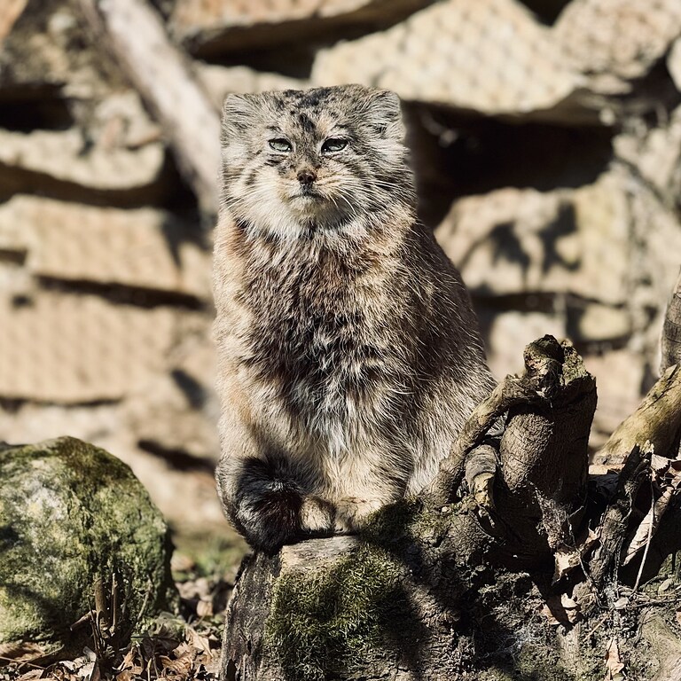 480465493_122150373098363619_4178674578662616141_n