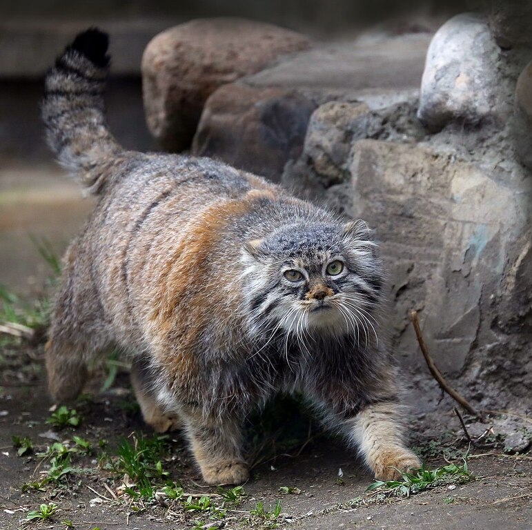 dNRU8bNhIuTDbEDyBwEpGcGQke719YIv25Ux0v6bdk_HXIIPfKmfqRK6qKGQs4lA5qGB74xd